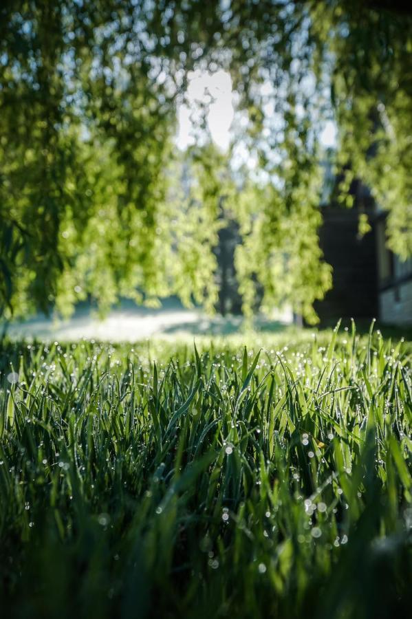 L'Herbe Haute Онфлер Екстер'єр фото